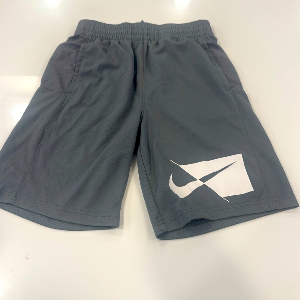 Nike Dri-Fit shorts size L
